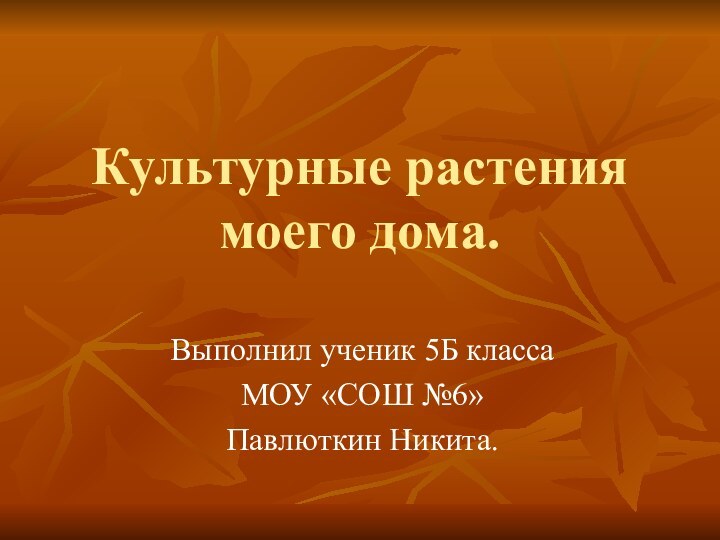 Культурные растения моего дома.Выполнил ученик 5Б классаМОУ «СОШ №6»Павлюткин Никита.