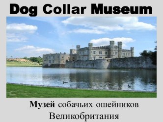 Dog Collar Museum