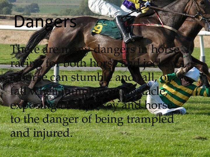 There are many dangers in horse racing for both horse and jockey: