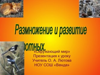 Размножение и развитие животных