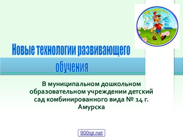 В муниципальном дошкольном образовательном учреждении детский сад комбинированного вида № 14 г.