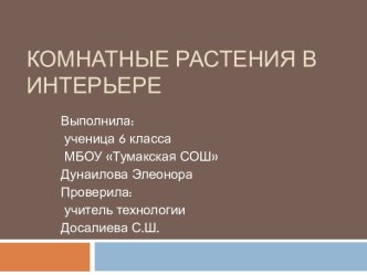 Комнатные растения в интерьере