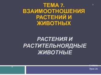 Взаимоотношения растений и животных. Растения и растительноядные животные