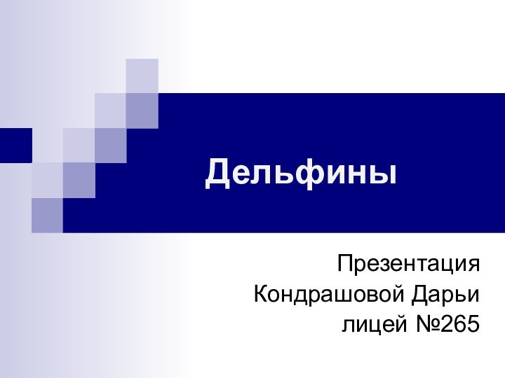 ДельфиныПрезентация Кондрашовой Дарьилицей №265