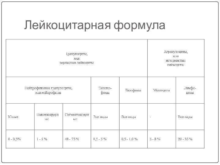 Лейкоцитарная формула