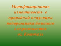 Модификационная изменчивость в природной популяции подорожника большого в окрестностях