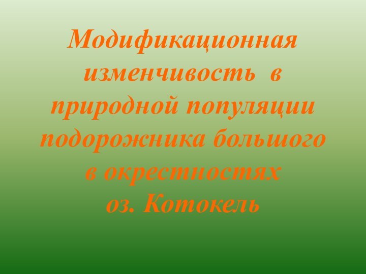 Модификационная изменчивость в природной популяции подорожника большого в окрестностях  оз. Котокель