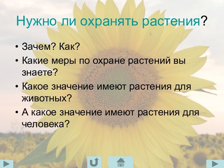 Нужно ли охранять растения?Зачем? Как?Какие меры по охране растений вы знаете?Какое значение