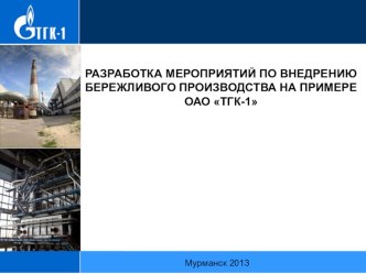 Разработка мероприятий по внедрению бережливого производства на примере ОАО ТГК - 1