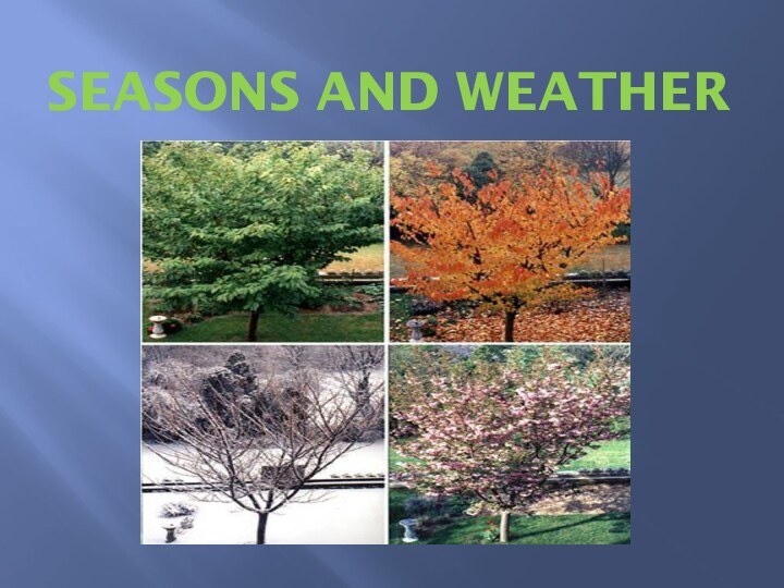 Seasons and Weather