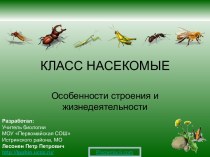 Класс Насекомые. Особенности строения и жизнедеятельности