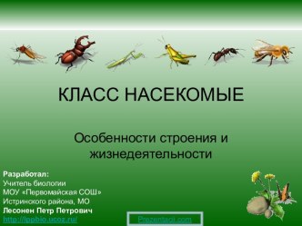 Класс Насекомые. Особенности строения и жизнедеятельности