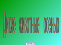 Жизнь животных осенью