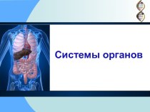 Системы органов