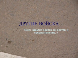 Другие войска, их состав и предназначение