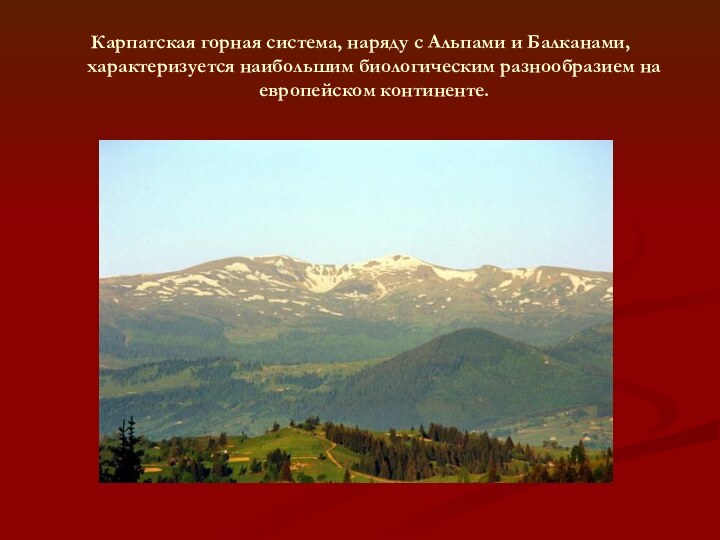 Карпатская горная система, наряду с Альпами и Балканами, характеризуется наибольшим биологическим разнообразием на европейском континенте.