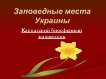 Заповедные места Украины. Карпатский биосферный заповедник