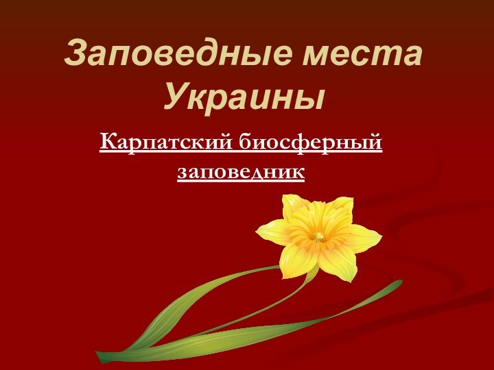 Заповедные места УкраиныКарпатский биосферный заповедник