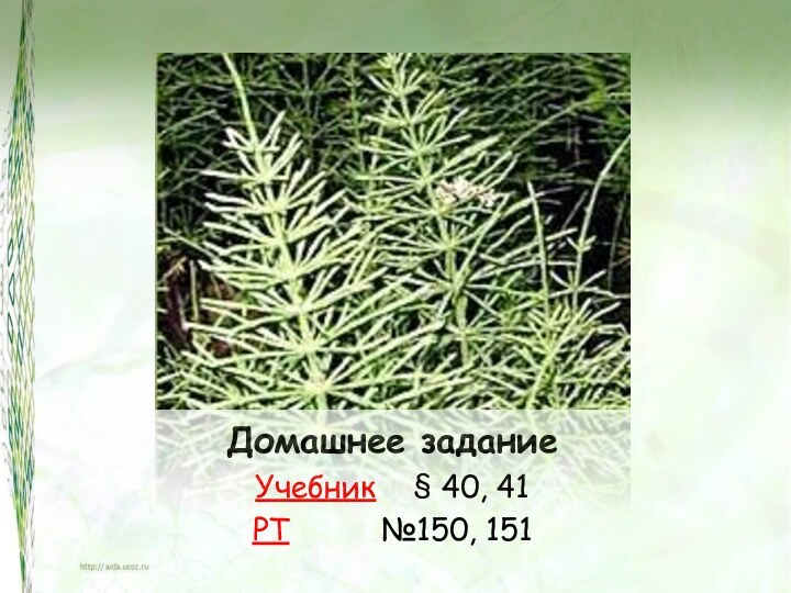 Домашнее заданиеУчебник  § 40, 41РТ     №150, 151