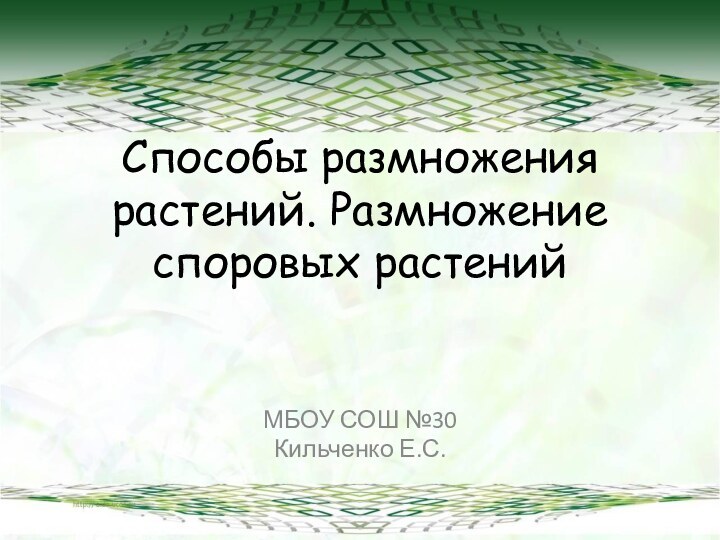 Способы размножения растений. Размножение споровых растенийМБОУ СОШ №30Кильченко Е.С.