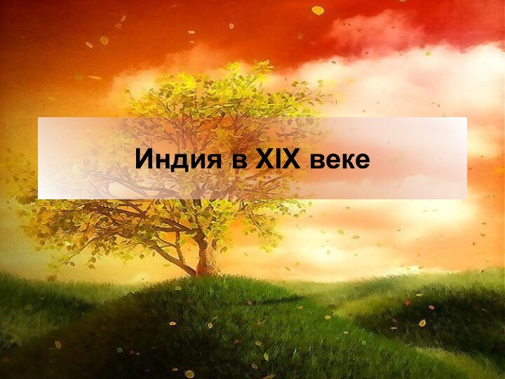 Индия в XIX веке