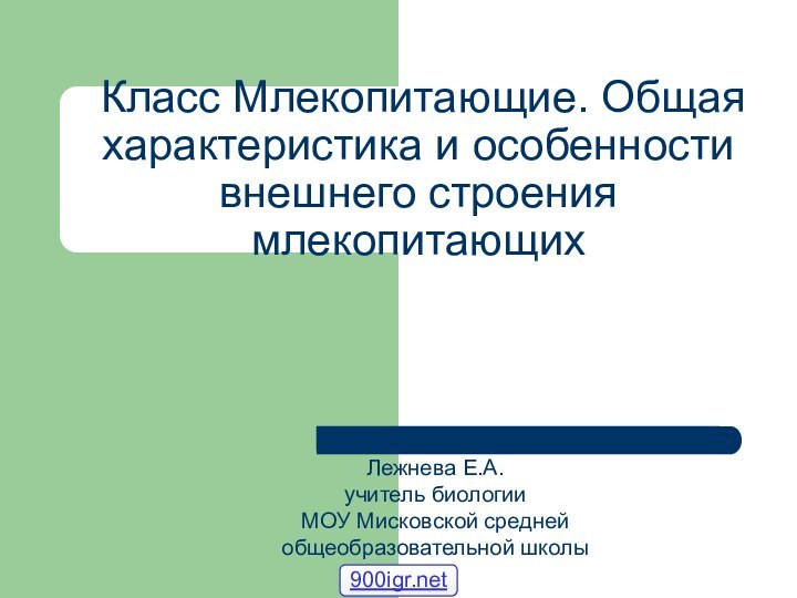 Класс Млекопитающие. Общая характеристика и особенности внешнего строения млекопитающихЛежнева Е.А. учитель