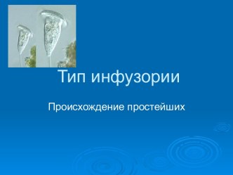 Тип инфузории