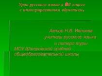 Урок русского языка в 8В классе с интегрированным обучением