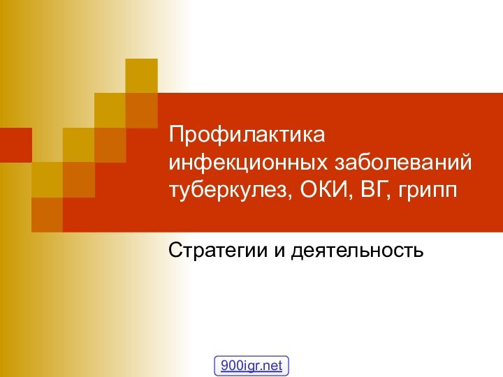 Профилактика инфекционных заболеваний туберкулез, ОКИ, ВГ, гриппСтратегии и деятельность