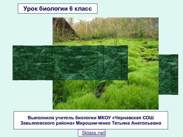мхимхиВыполнила учитель биологии МКОУ «Чернавская СОШ Завьяловского района» Мирошниченко Татьяна АнатольевнаУрок биологии 6 класс