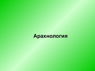 Арахнология