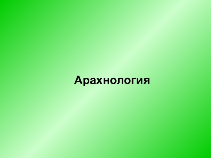 Арахнология