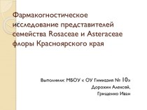 Фармакогностическое исследование представителей семейства Rosaceae и Asteraceae флоры Красноярского края