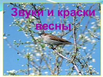 Звуки и краски весны