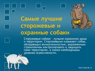 Самые лучшие сторожевые и охранные собаки