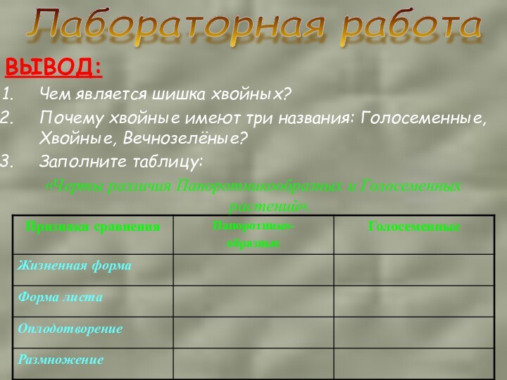 ВЫВОД: Чем является шишка хвойных?Почему хвойные имеют три названия: Голосеменные, Хвойные, Вечнозелёные?Заполните