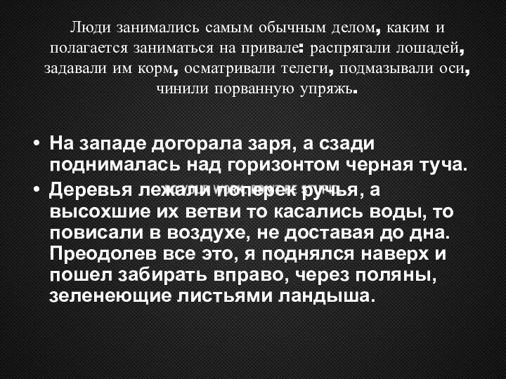 Люди занимались самым обычным делом, каким и полагается заниматься на привале: распрягали