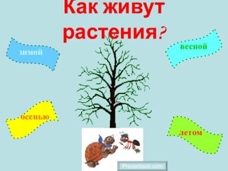 Как живут растения?