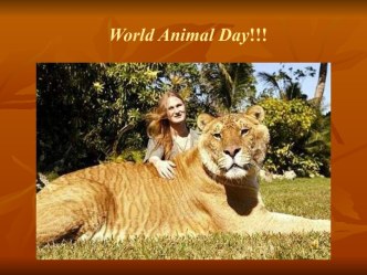 World Animal Day