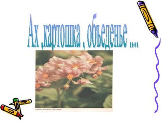 Ах ,картошка , объеденье