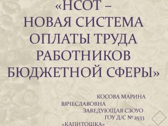 НСОТ – Новая система оплаты труда работников бюджетной сферы