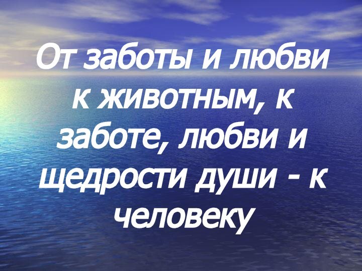 От заботы и любви к животным, к заботе, любви и щедрости души - к человеку