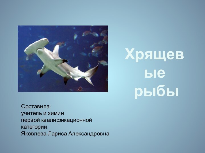 Хрящевые рыбыСоставила:учитель и химиипервой квалификационной категорииЯковлева Лариса Александровна