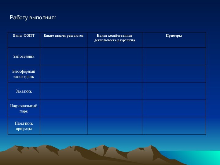 Работу выполнил: