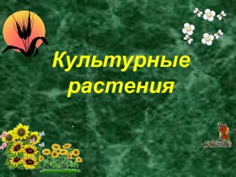 Культурные растения