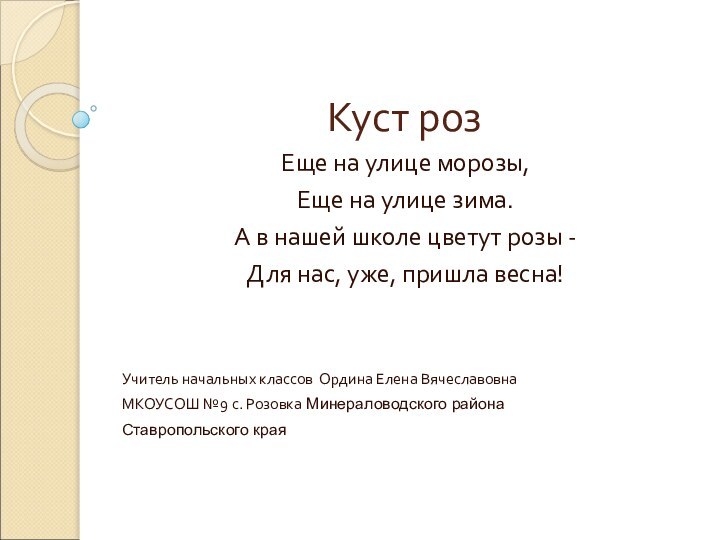 Куст розЕще на улице морозы,Еще на улице зима.А в нашей школе цветут