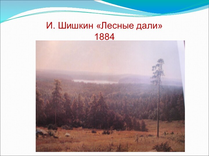 И. Шишкин «Лесные дали»          1884