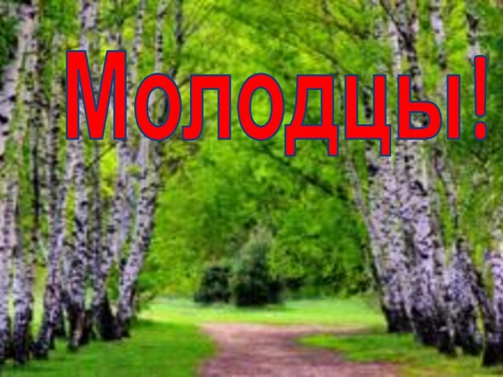 Молодцы!