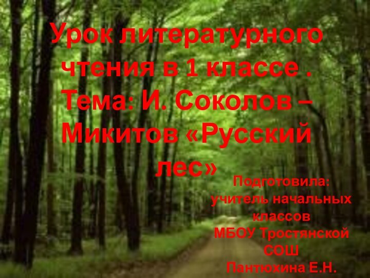 Урок литературного чтения в 1 классе .Тема: И. Соколов – Микитов «Русский