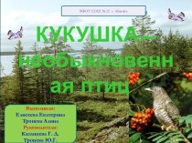 Кукушка - необыкновенная птица